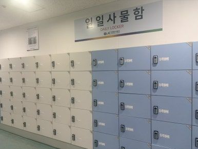 안양 실내빙상장 사진