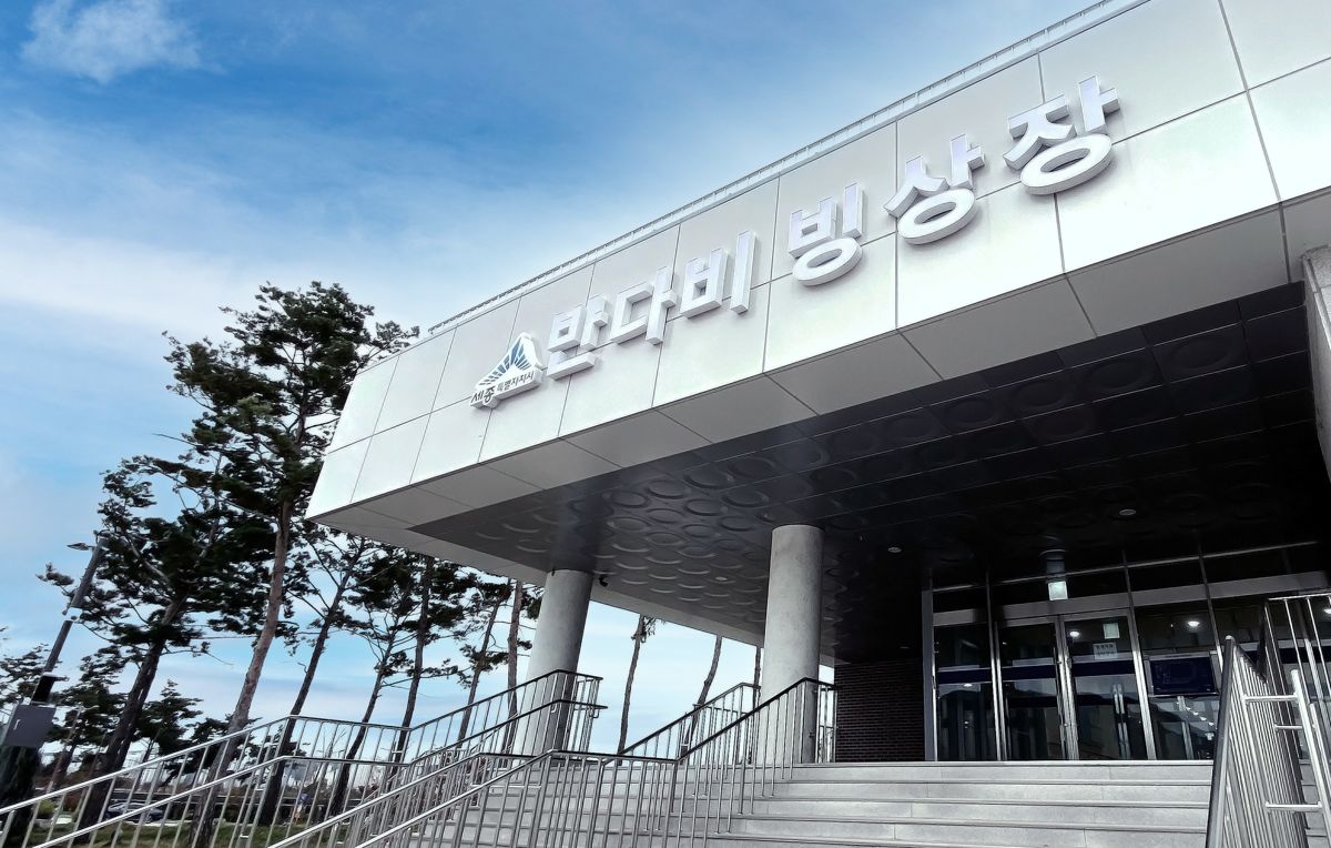 세종 반다비 빙상장 사진