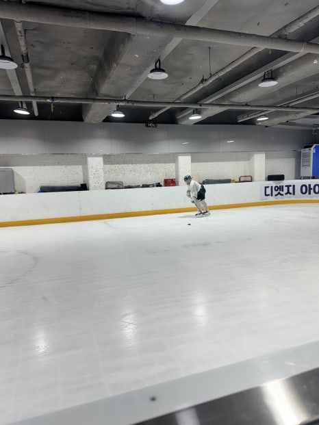 디엣지 아이스링크 사진